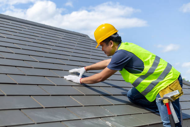 Best Roof Repair Services  in La Feria, TX