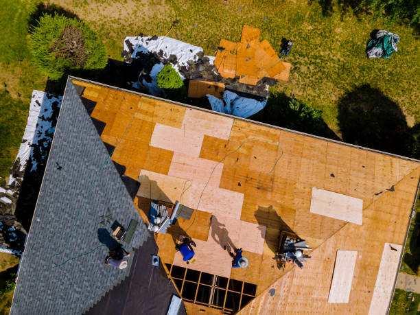 Best Emergency Roof Repair  in La Feria, TX