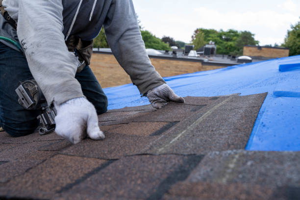 Best Roof Waterproofing Services  in La Feria, TX