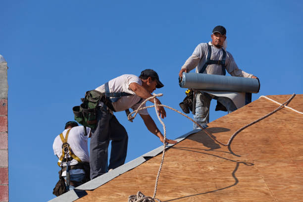 Best Slate Roofing Contractor  in La Feria, TX