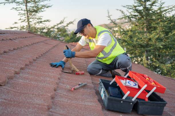 Best Roof Gutter Cleaning  in La Feria, TX
