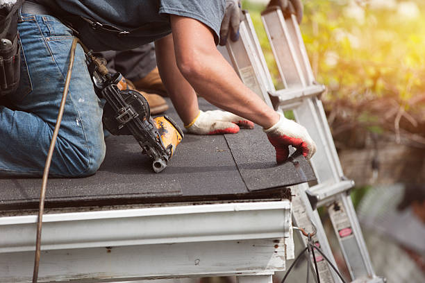 Best Commercial Roofing Services  in La Feria, TX