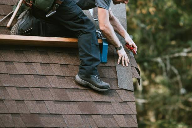 Best Roofing Contractor Near Me  in La Feria, TX